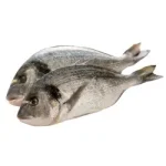 Риба и морски плодови