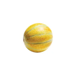 MP-ETG10TW-X Диња 1кг - Image 1