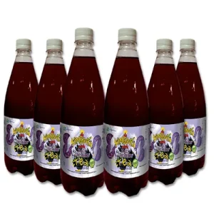 HEALTH REPUBLIC Комбуха чај Црно Гоџи Бери, 4л. + 2л.