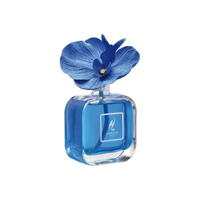 HYPNO-CASA ITALY Орхидеја цветен дифузер за простории, Aria di mare, 100ml