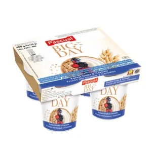 Pascual Big Day Овошен јогурт со шумско овошје и житарки 120гр 4/1