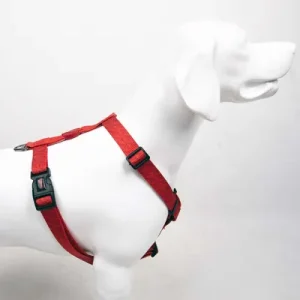 Paws & Whiskers Ам за кучиња Prism, Шарен