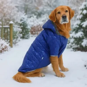 Paws & Whiskers Одело за кучиња Bluecoat, Сино