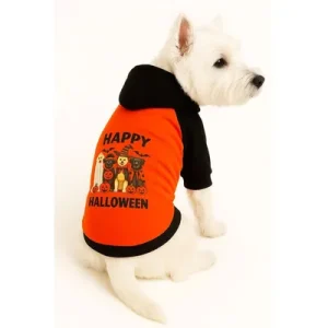 Paws & Whiskers Одело за кучиња Orangehappyhall, Портокалово